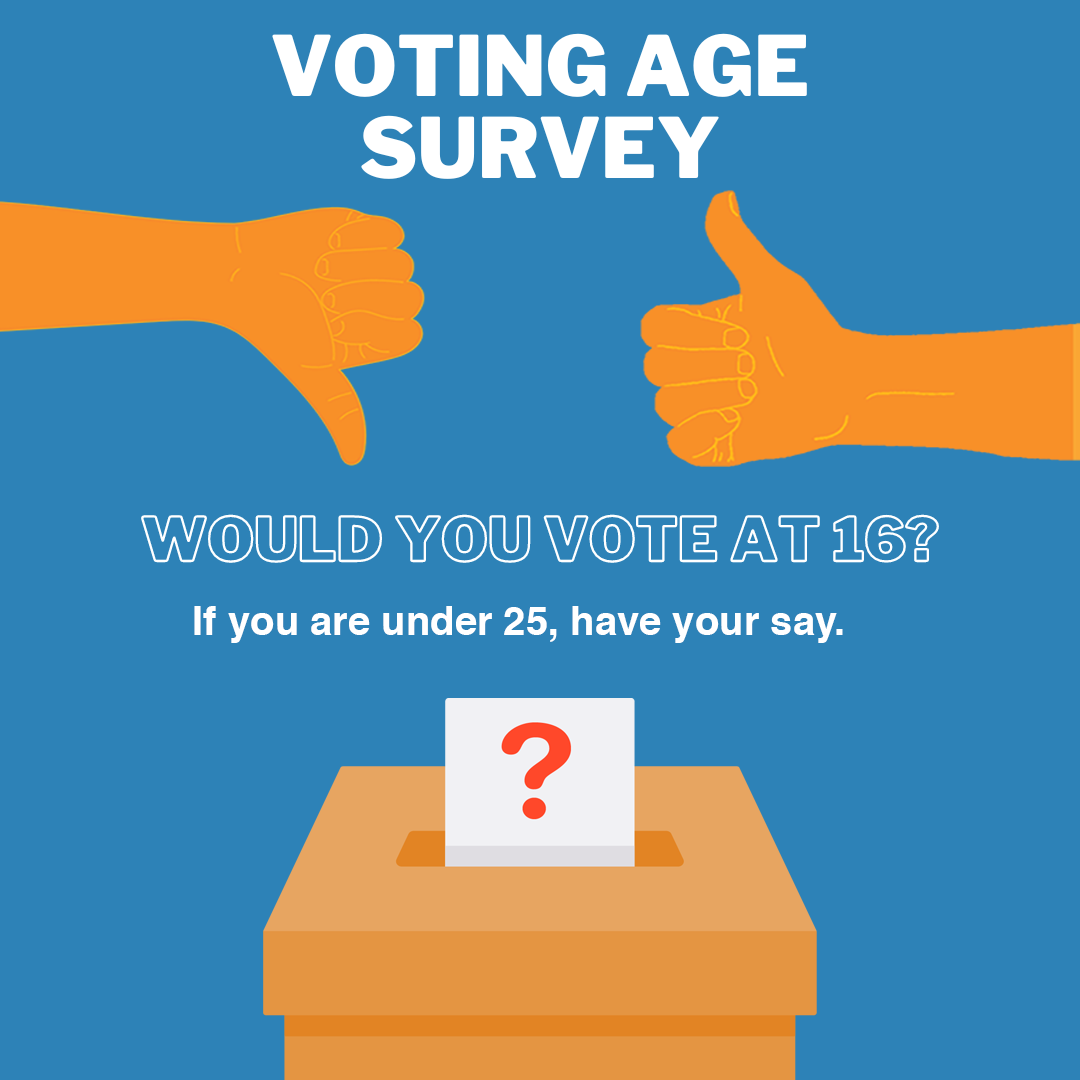 Voting age survey Instagram APPROVED