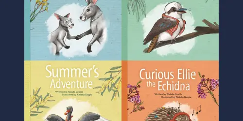 4 Pillar book series