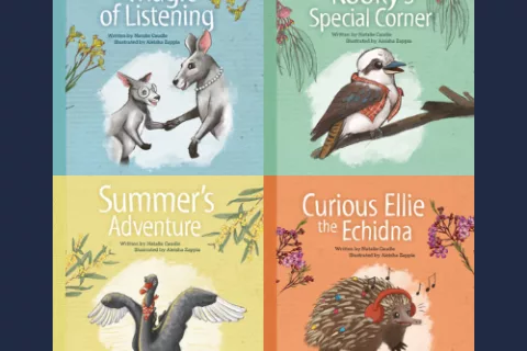 4 Pillar book series